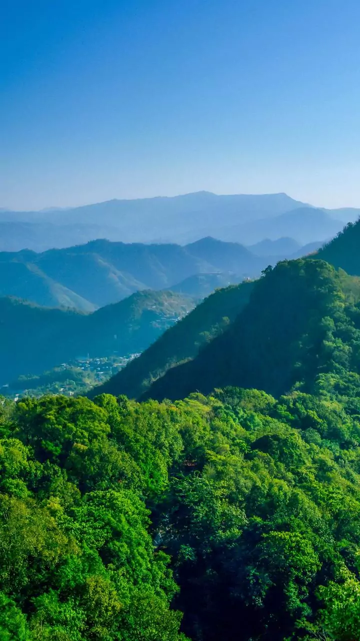 Navigating India's Breathtaking Hill Stations: A Traveler's Guide