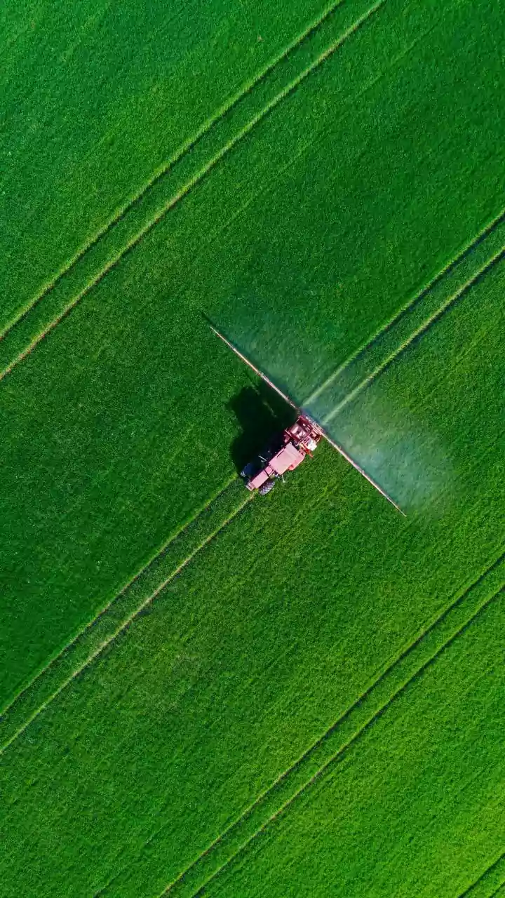 AI Forecasting Helps Farmers Avoid Spraying Strawberries Before Rain