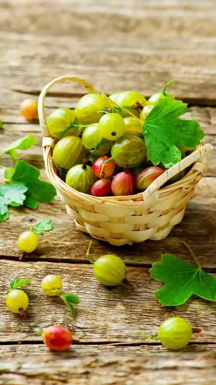 Indian Gooseberry Shapes Farming And Food Processing In Pratapgarh With Indian Gooseberry