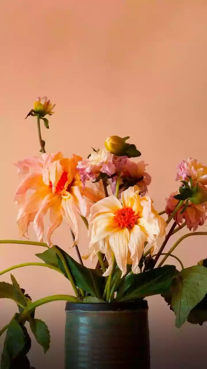 Fresh-Flower Decor Needs a Plan for Heat and Wilting