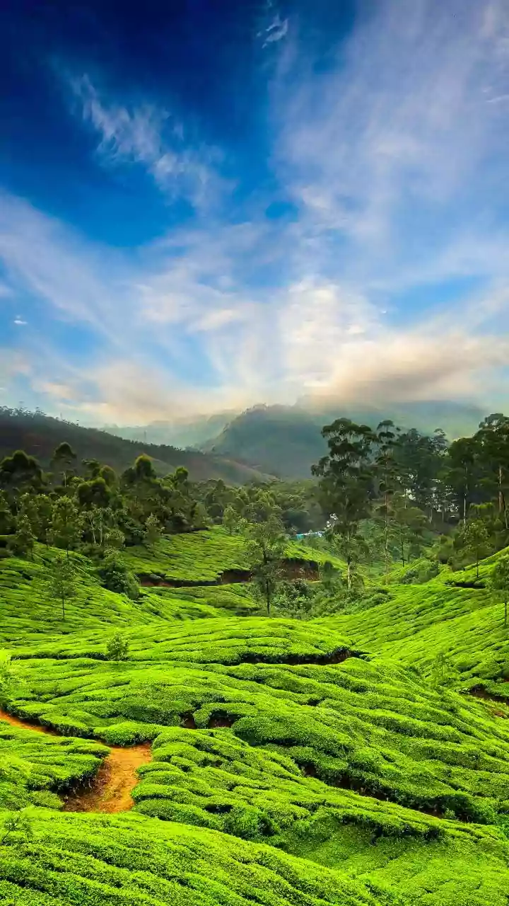 Rain-Washed Coorg Is Perfect For Slow Travellers