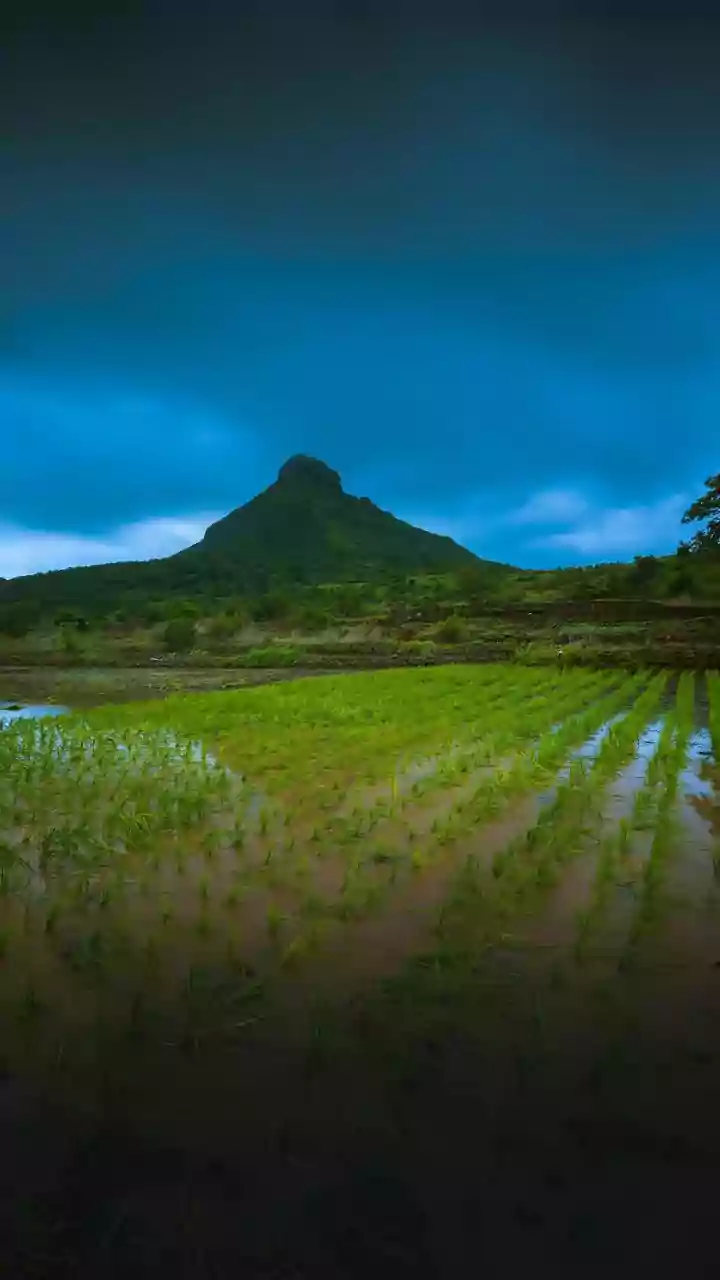 Monsoon Travel Safety: How Western Ghats Hikers Prepare For Flash Floods