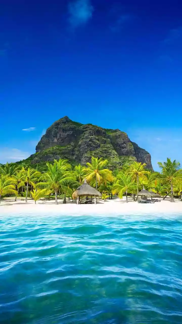 Thomas Cook, SOTC team up with Mauritius to woo Indian travellers