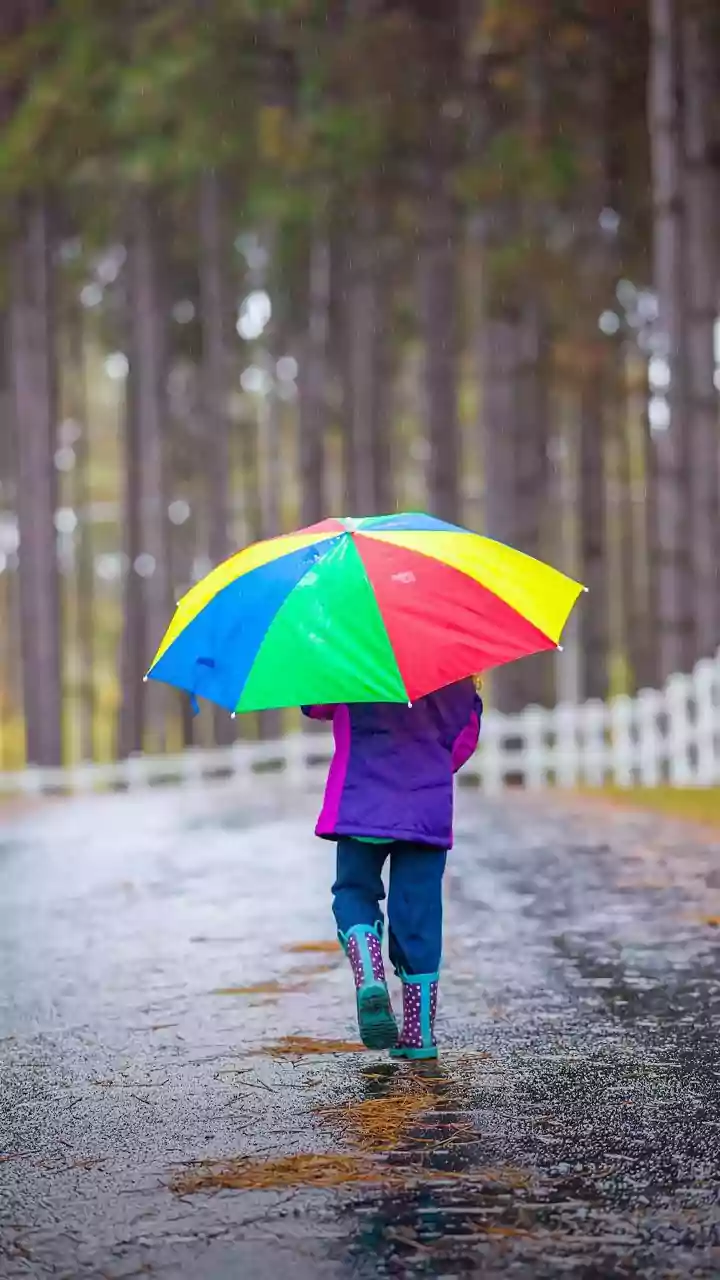 Driving Or Walking In Heavy Rain? These Safety Tips Can Help