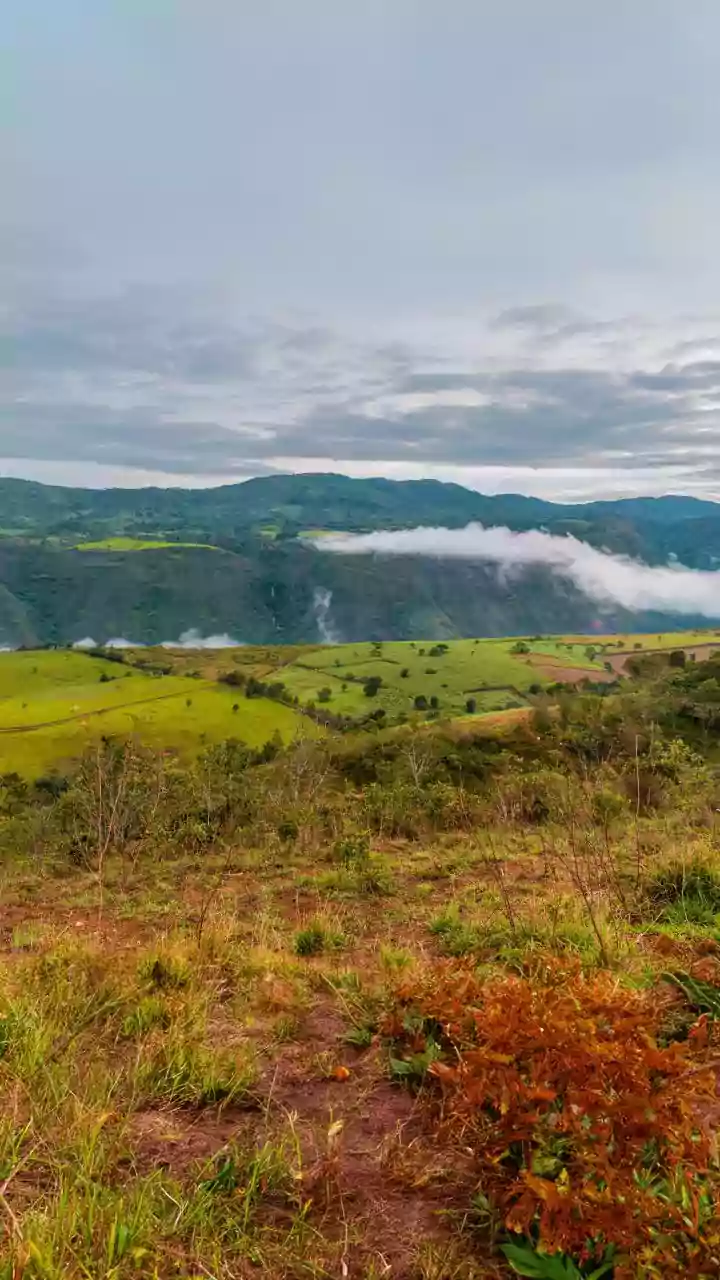 Vagamon Rolling Green Meadows Capture Stunning Early Seasonal Cloud Cover