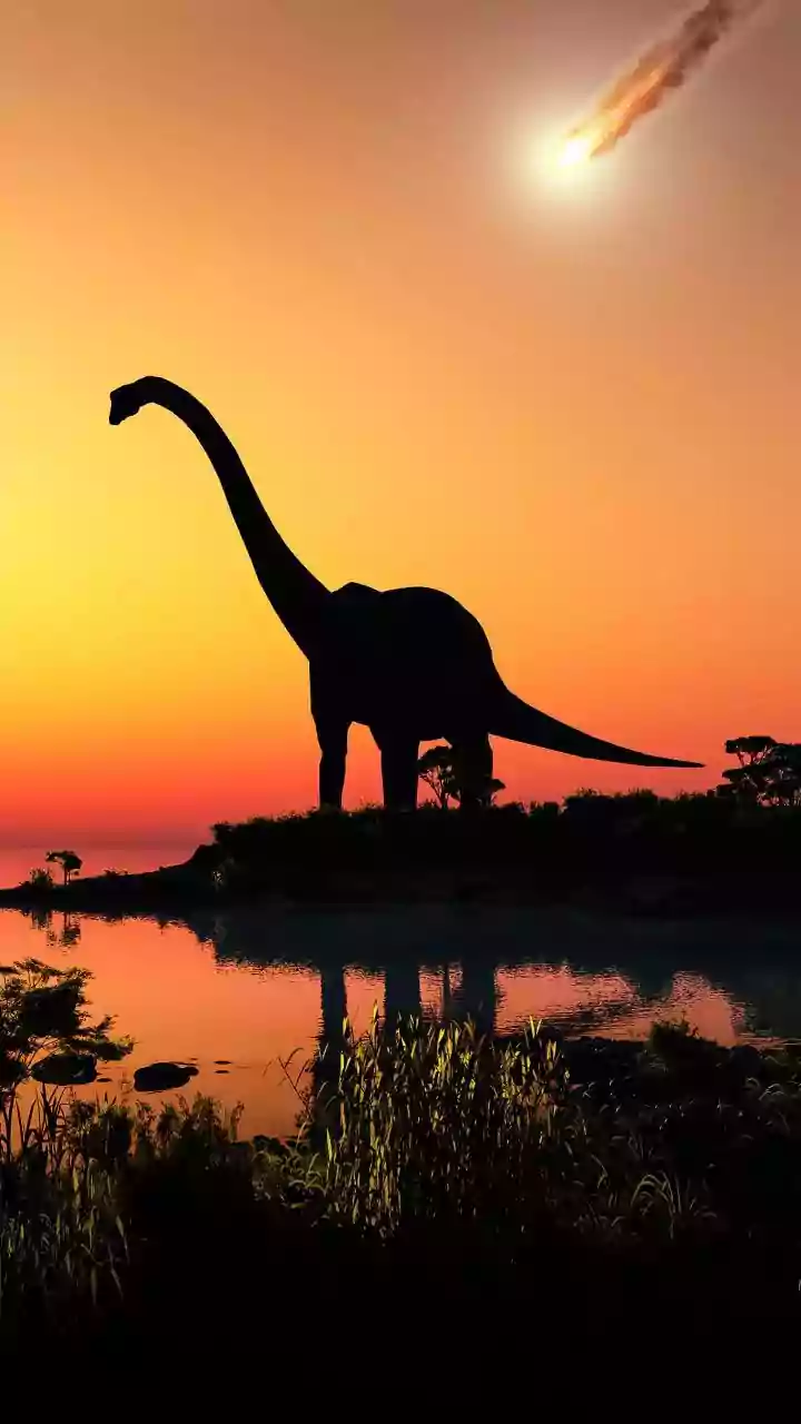 Shifts in seawater chemistry caused world to cool after Dinosaurs