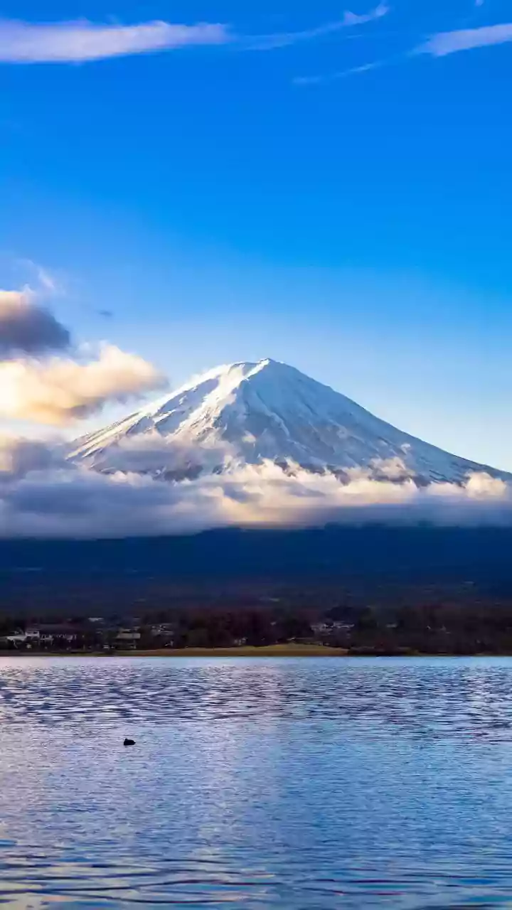 A 454-Million-Year-Old Volcano Beneath Eastern England: A Closer Look