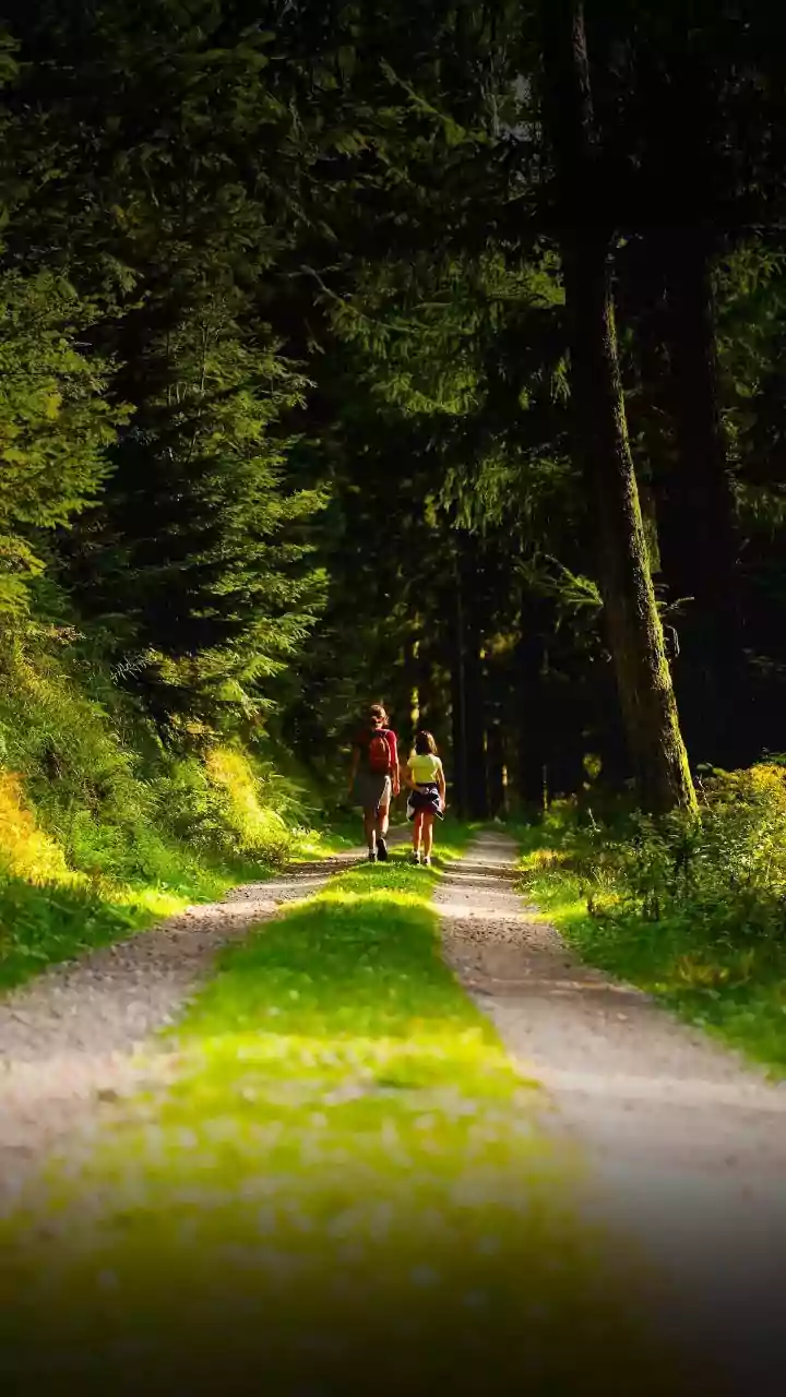 Hiking vs. Inline Skating: Which is the Ultimate Core Workout?