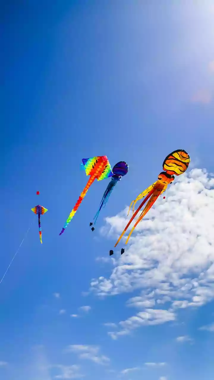 Kite festival in Gujarat turns tragic: 4 lives lost