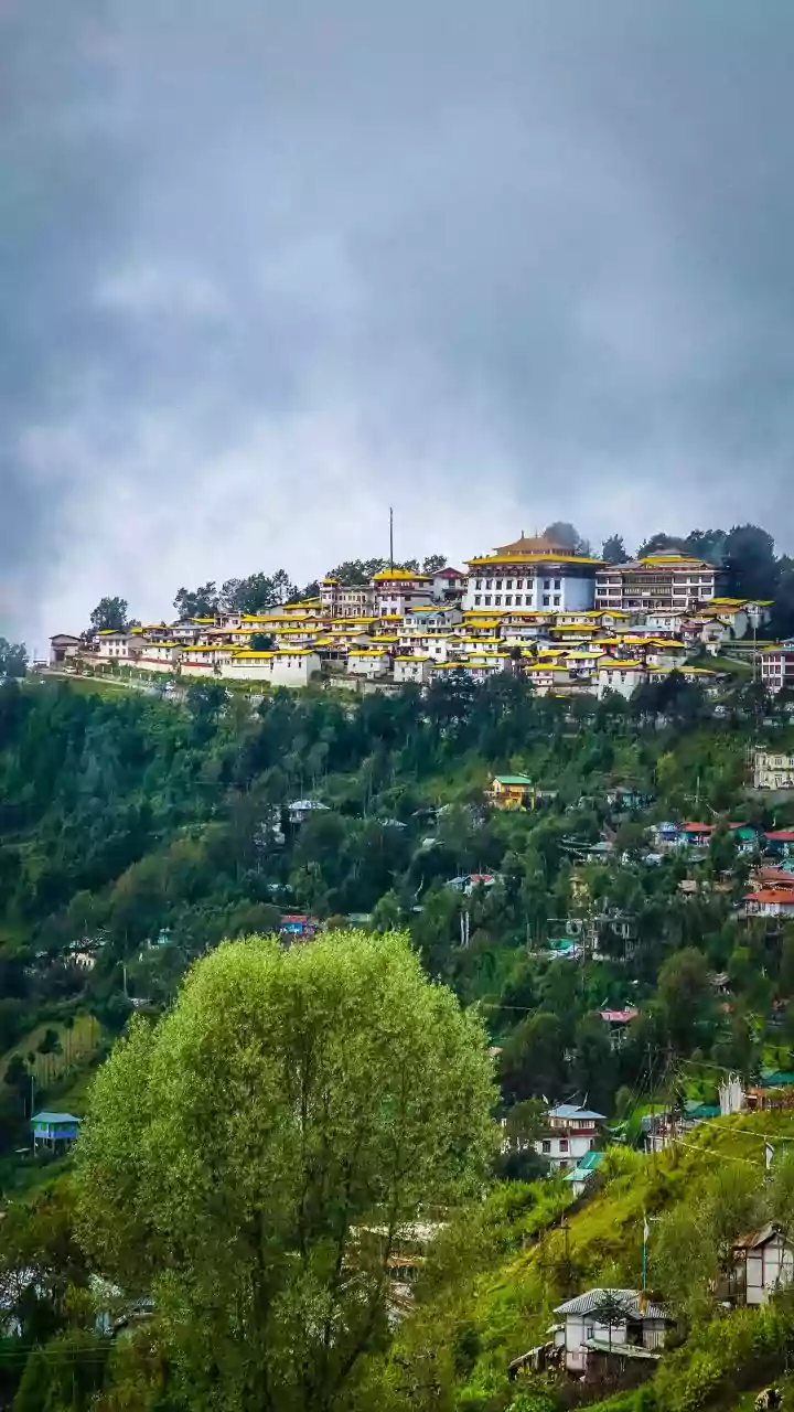 Arunachal govt launches AI training programme for college students, recent grads