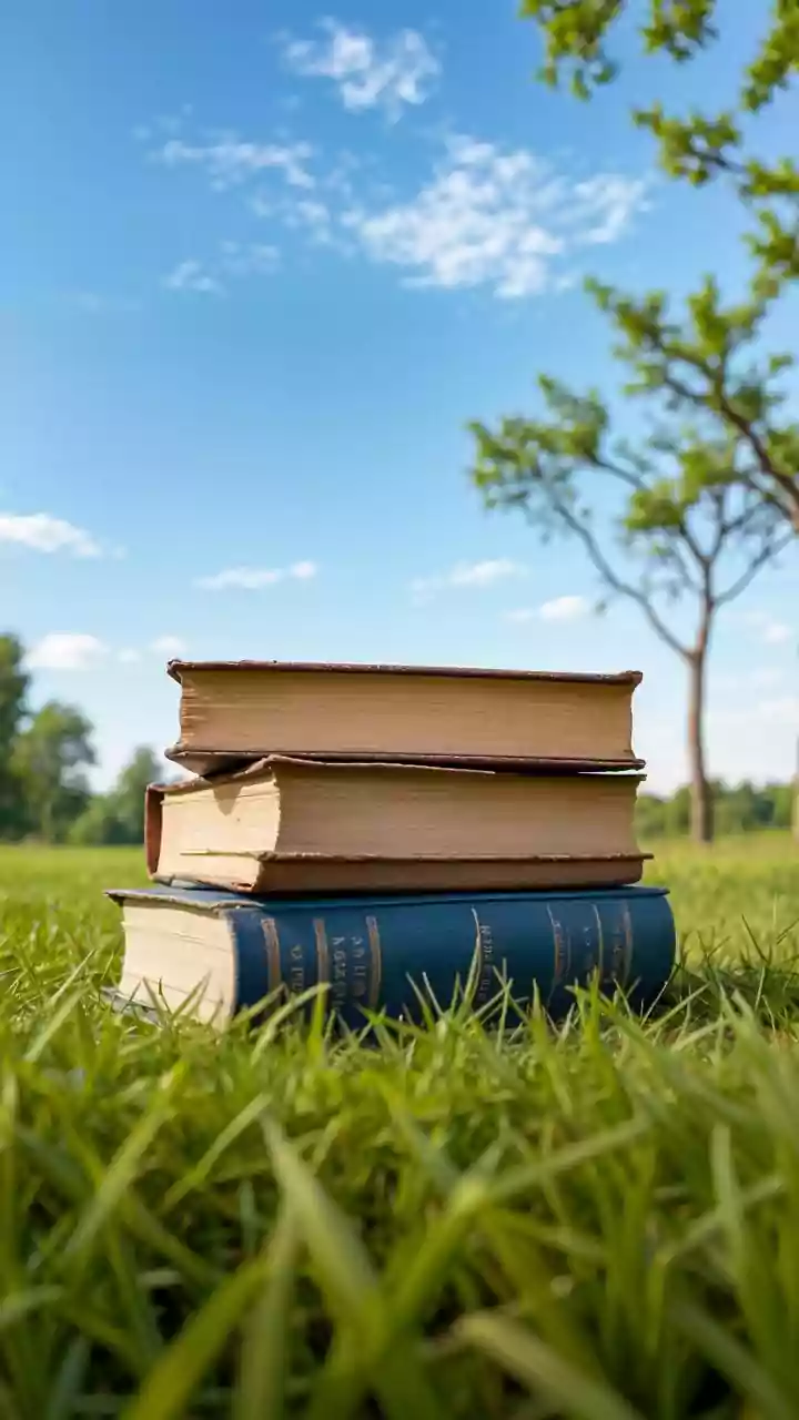 Indian Cities Need Monsoon Backups for Open-Air Library Plans