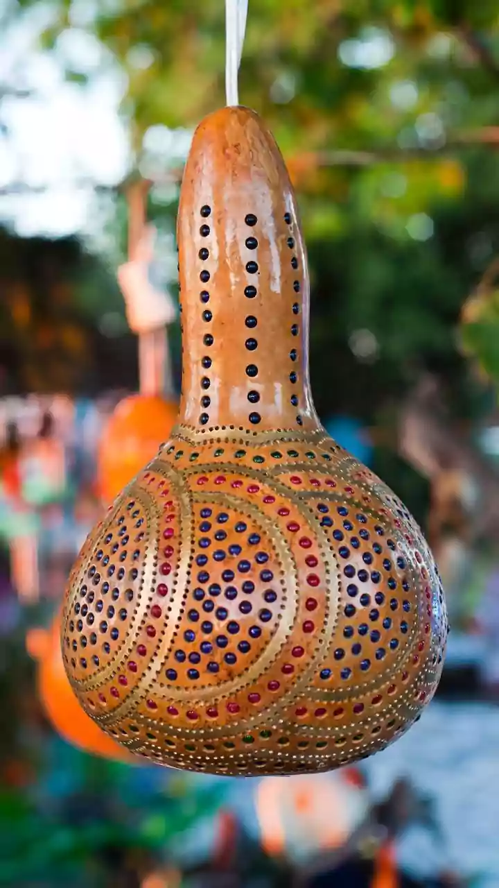 How African communities use bottle gourd