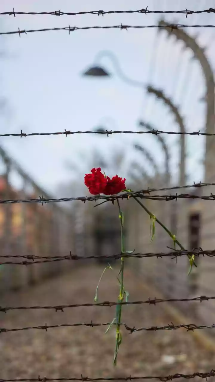 Eugenia e Tortura: Como o nazismo usou a genética para justificar o extermínio
