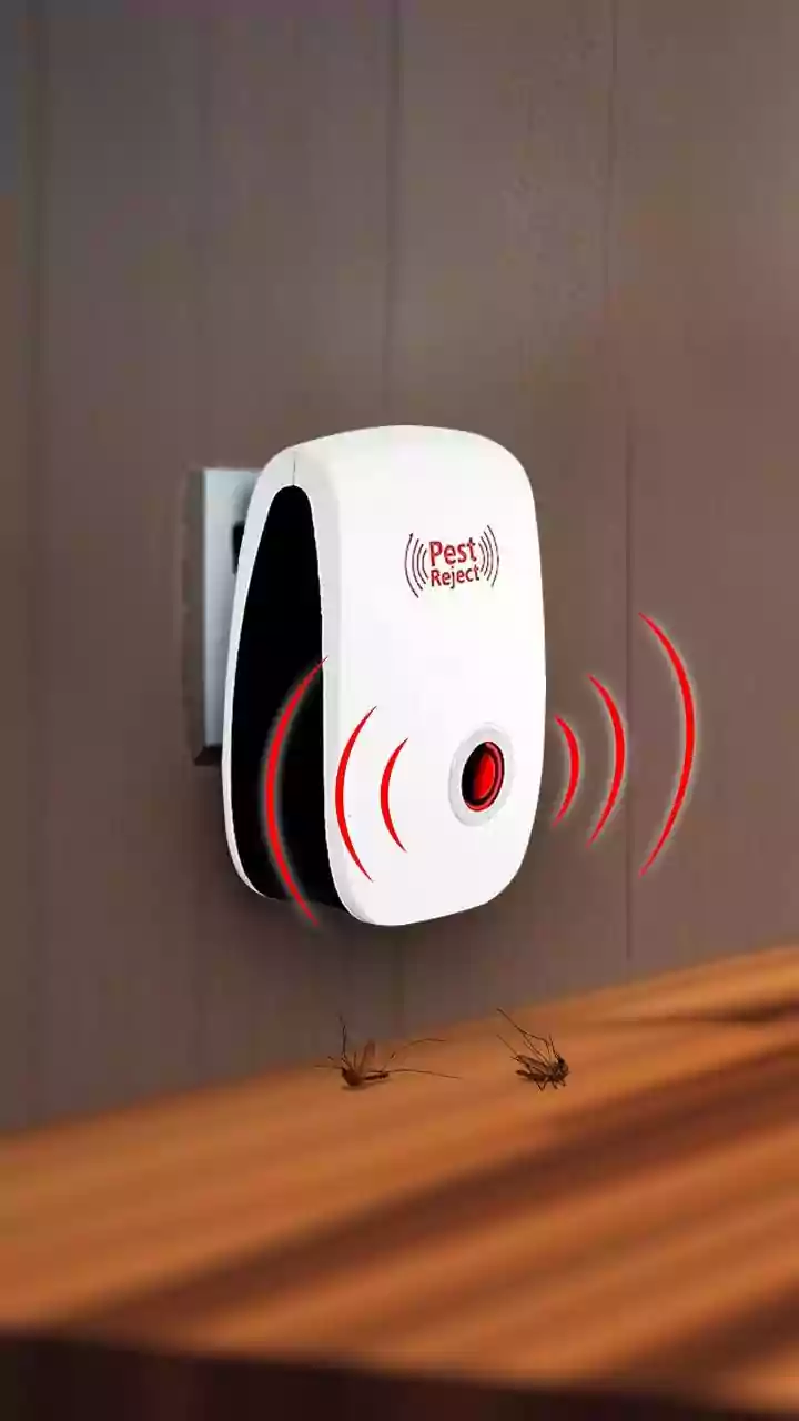 Uninvited Guests: 7 Rent-Free Creatures in Your Home!