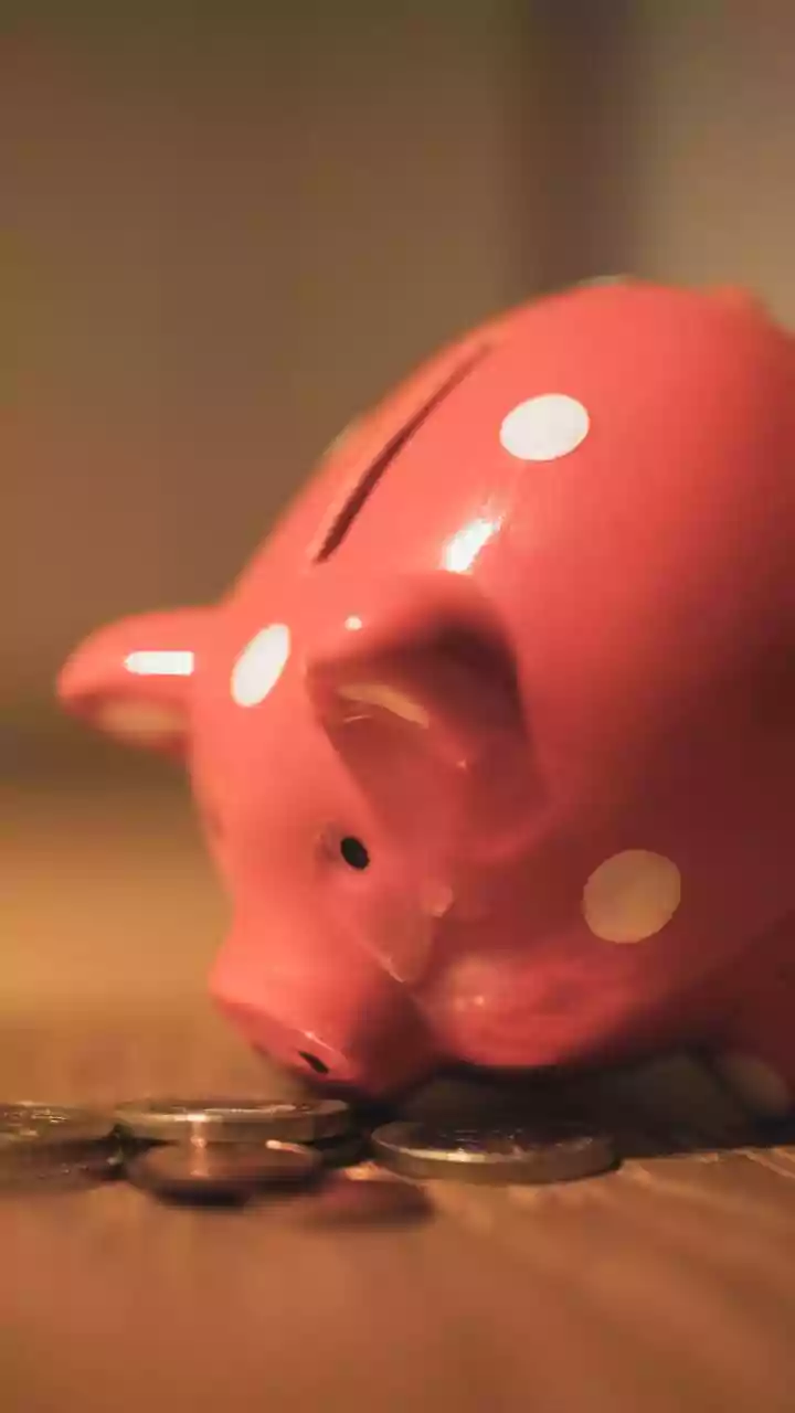 Debt mutual funds see big December outflows, but it's just a seasonal dip