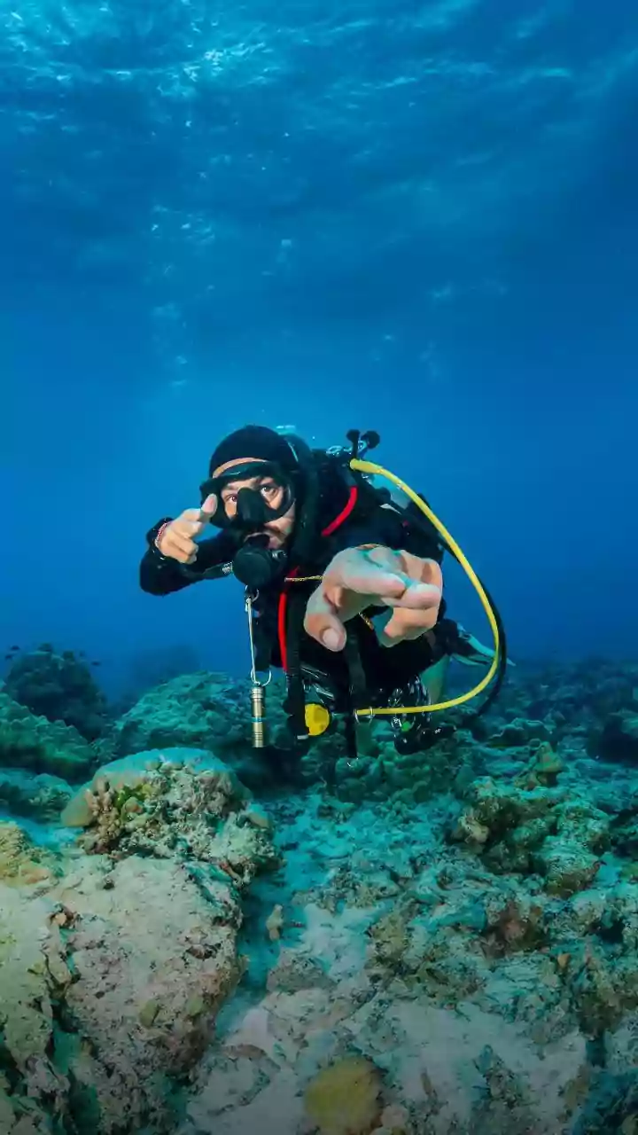 How To Handle Travel Logistics For A Scuba Diving Expedition In Lakshadweep This November