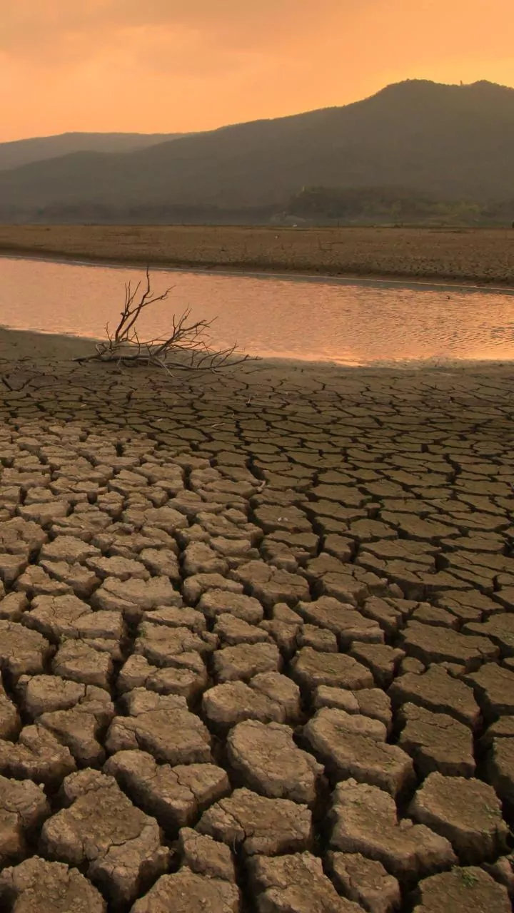 India's Climate Fight: Challenges, Changes, and the Future