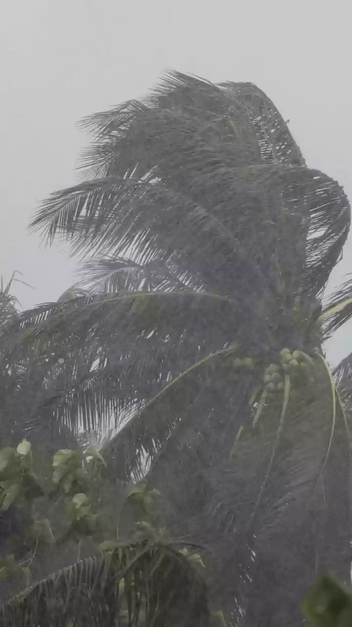 Heavy Rain Forecast in Kerala Due to Low-Pressure Area Over Bay of Bengal