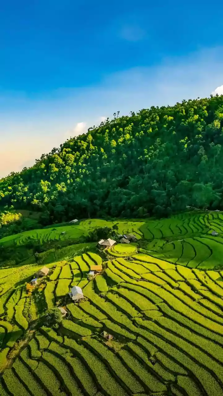 5 Kota Dingin di Jawa Timur, Bukan Hanya Batu