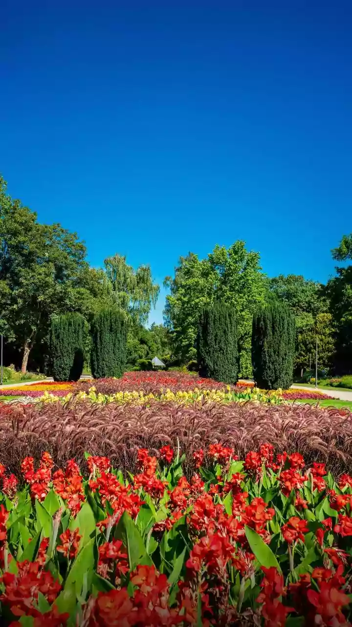 Plant Now, Thrive Later: Embrace the Power of Starting Today