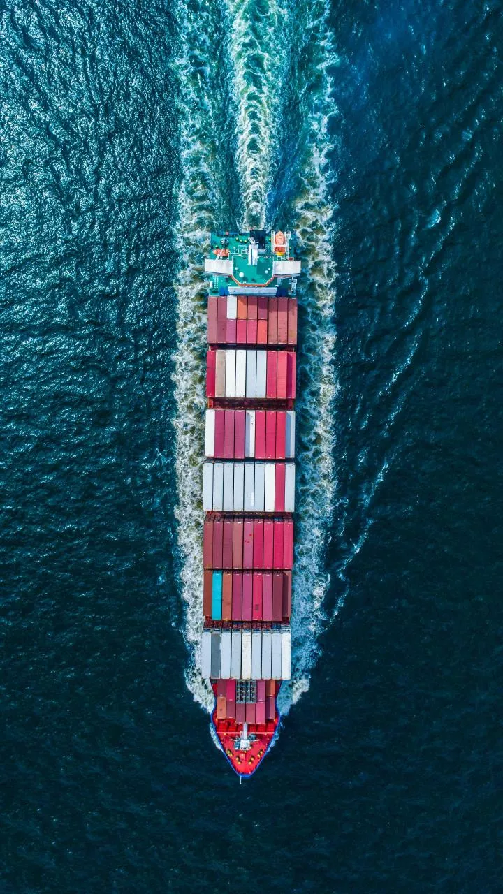 India's exports rebound in Nov on supply-chain shifts, US holiday restocking : GTRI