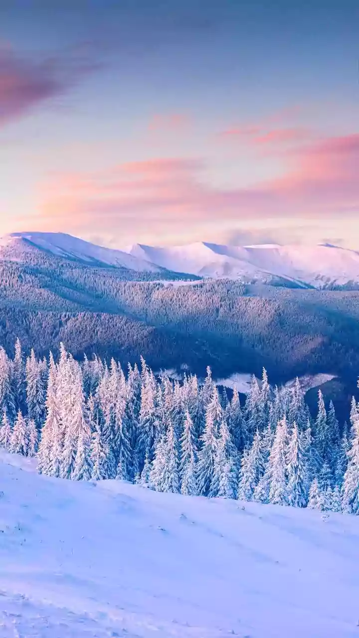 Light snowfall likely in higher reaches of Himachal Pradesh over weekend