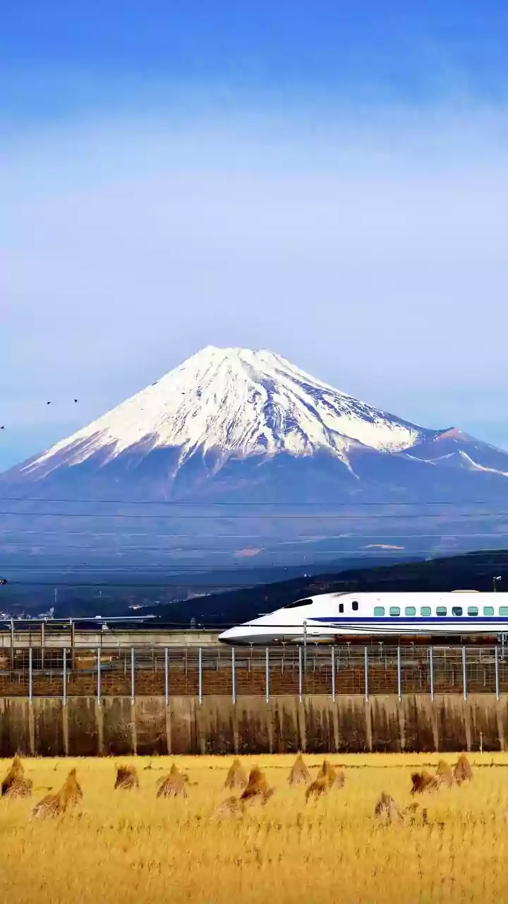 Japan's Tourist Retailers Will Charge Consumption Tax before the Refund Stage