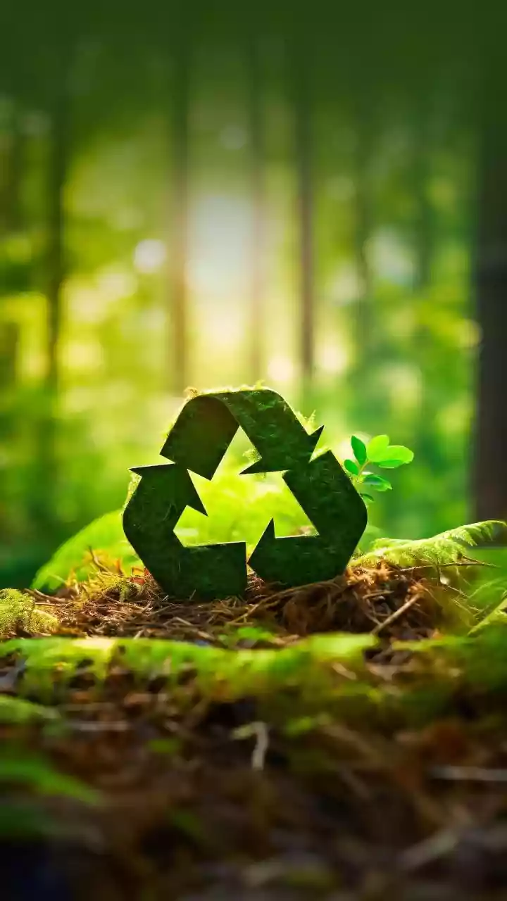 What Happens to Your Kitchen Waste During the Composting Process?