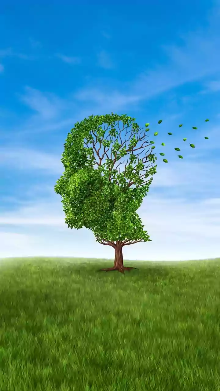 Navigating Alzheimer's Caregiving: A Comprehensive Guide for Families