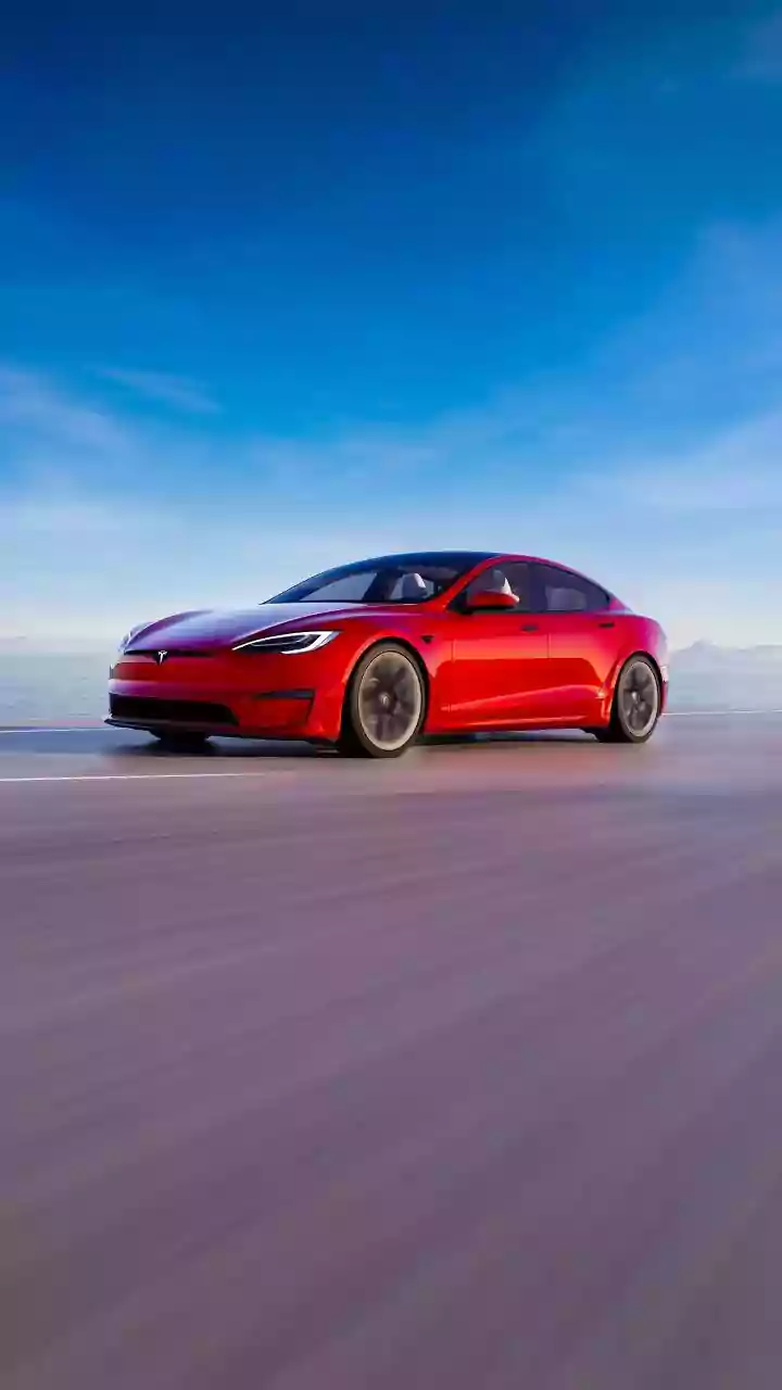 Tesla's Screen Fills with Cars, Bikes and Pedestrians in Indian Traffic