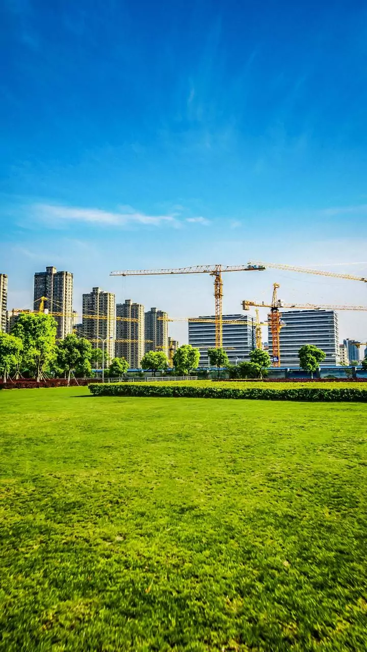 Capital dreams, Maoist hunt, spate of deadly accidents; AP saw it all in 2025