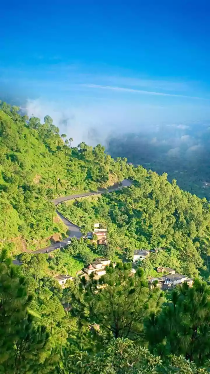 Hay-Laden Truck Overturns On Busy Nainital Road, Bolero Driver Crushed To Death – Shocking Video Surfaces