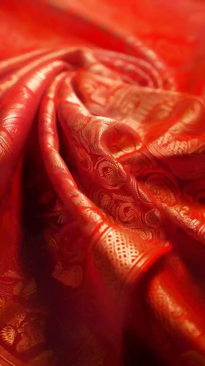 Timeless Elegance: Keeping Sarees Pristine