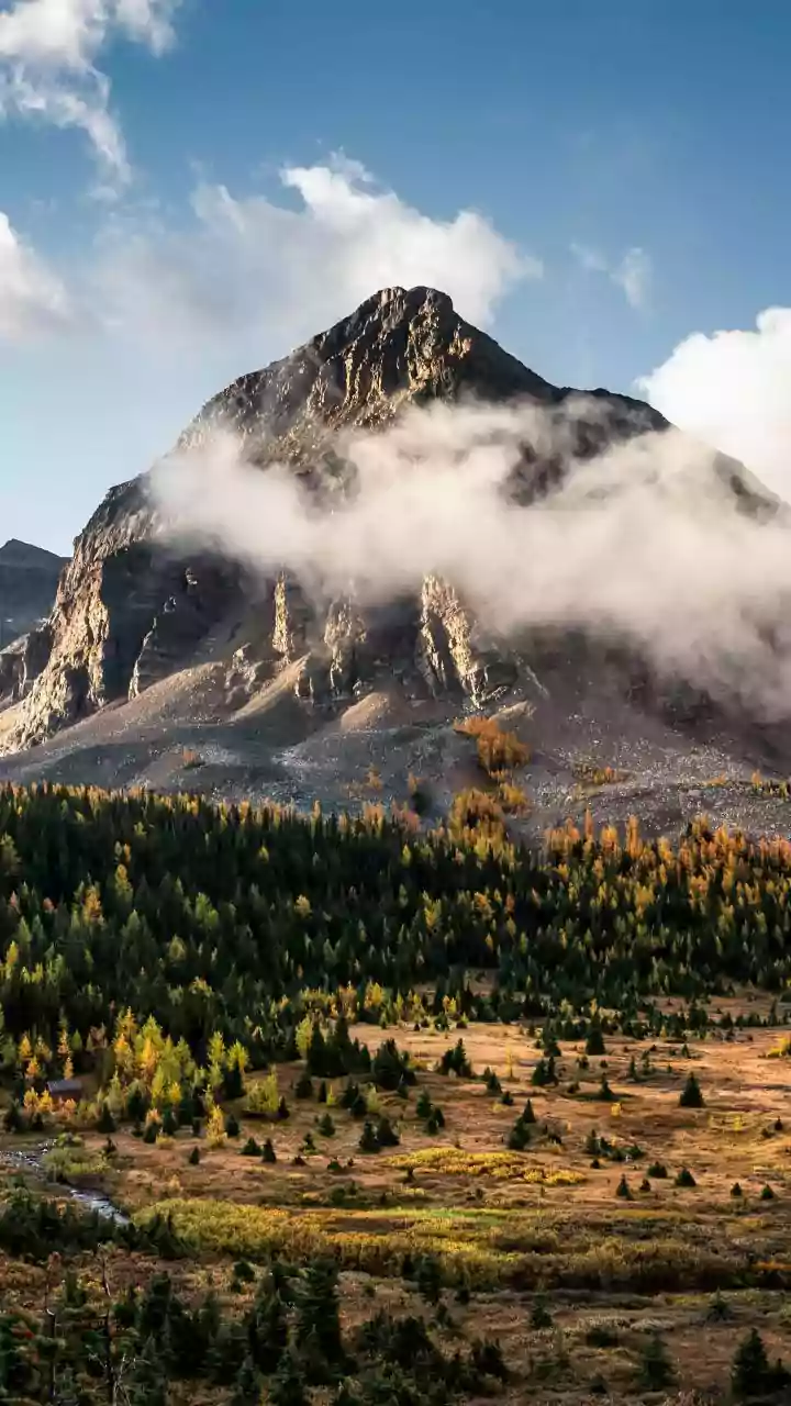 Escape the Crowds: Discover Montana's 'The Bob' Wilderness, a Majestic Alternative to Glacier