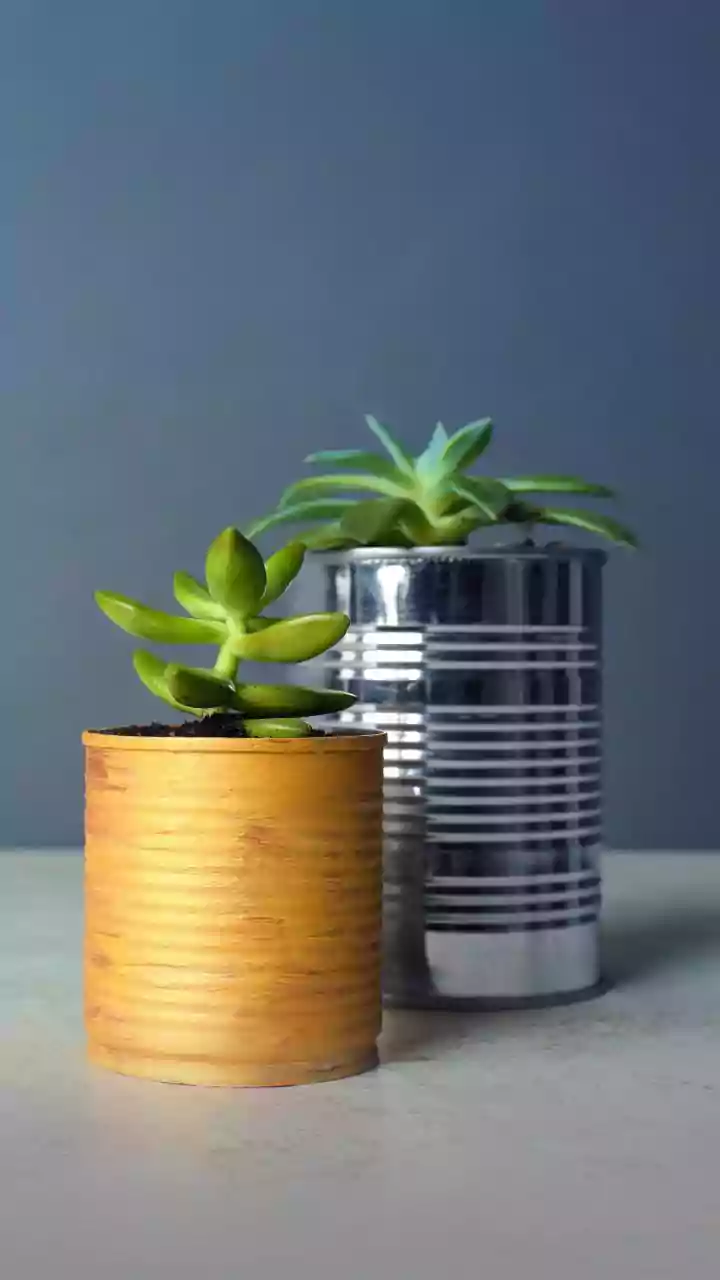 How to repurpose old tin cans