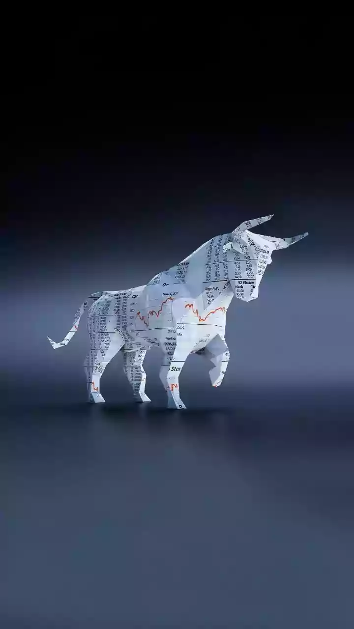 India's IPO Wave Is Getting Wider Cultural Buzz