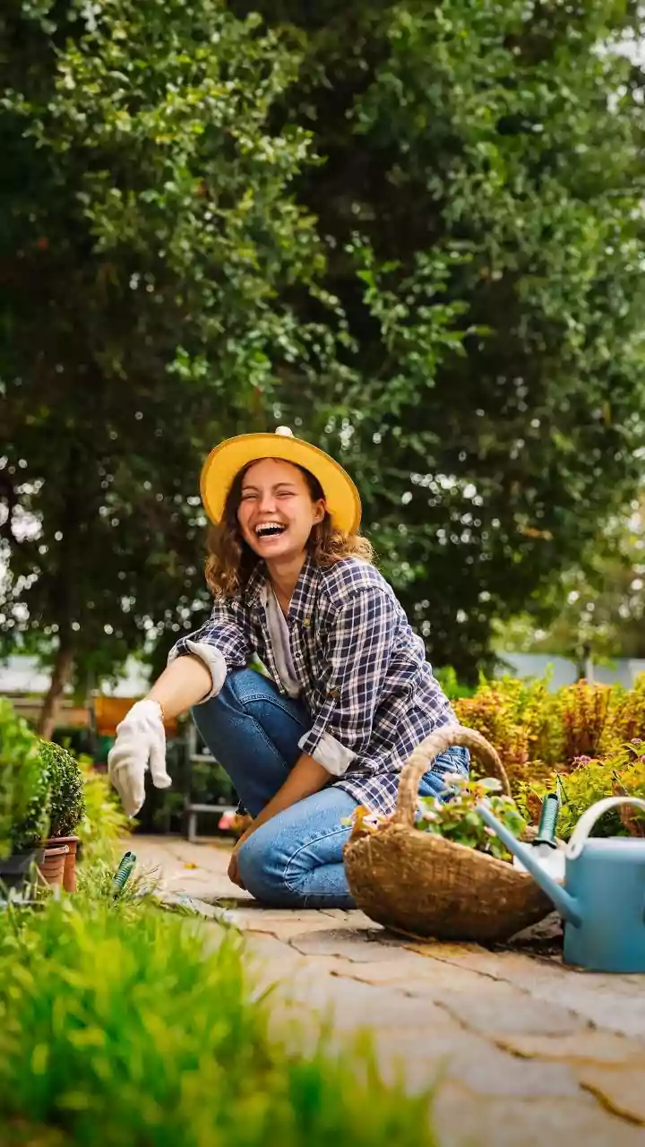 Gardeners Need a Clearer View of Current Growth after the Start of August Pruning