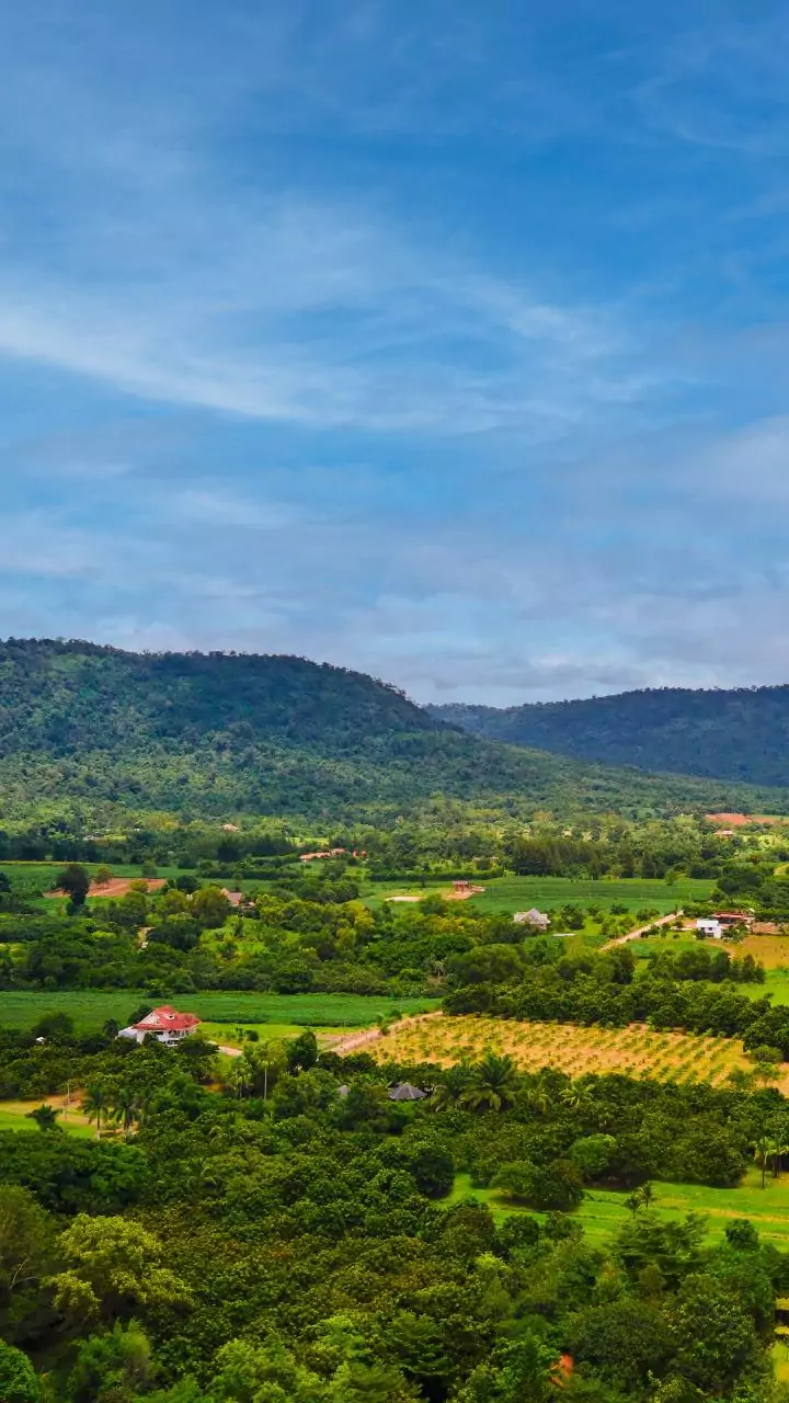 Baramati plane crash triggers massive insurance payout