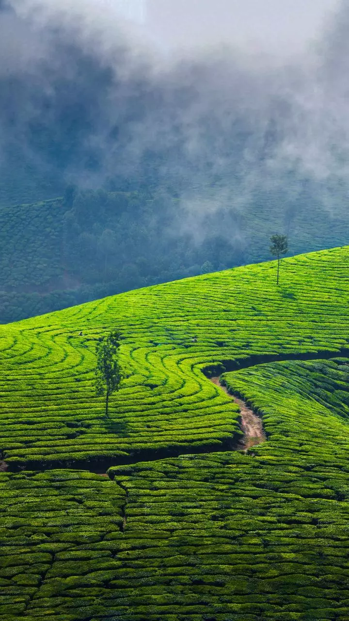 Did not approach PM on-stage due to years of training as police officer: R Sreelekha