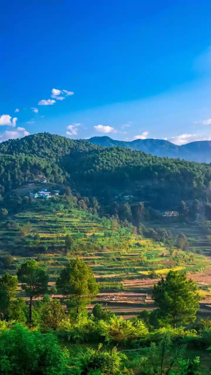 Climate Change Alters Farming in Himachal Pradesh's Bir Village