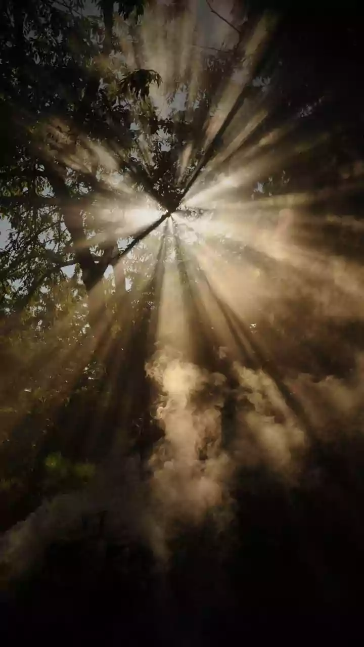 How Ten Minutes Of Morning Light Exposure Cures Afternoon Brain Fog