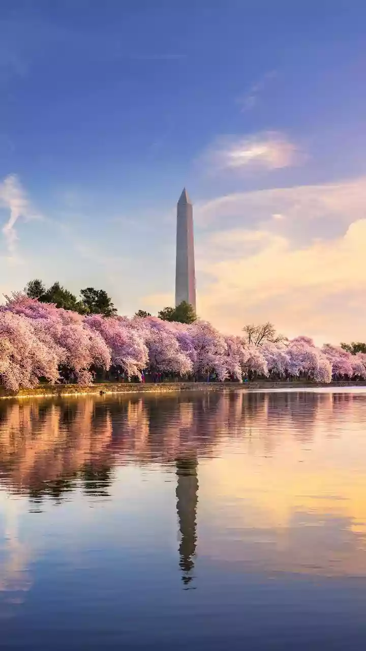Trump eyes India Gate-style 'Independence Arch' for Washington DC