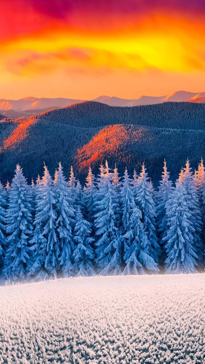 India’s UV index changes more than you think—see how it affects your skin, health & daily routine