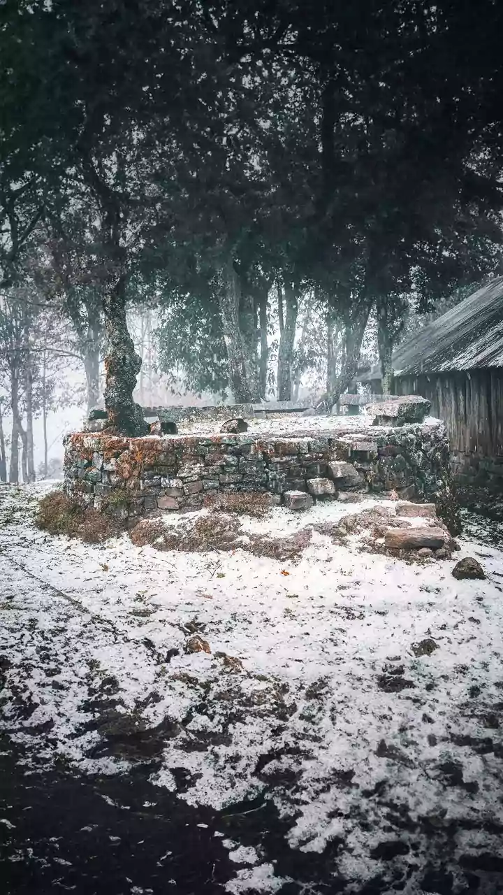 Coldwave conditions grip Jharkhand, Gumla shivers at 2.3 degrees C