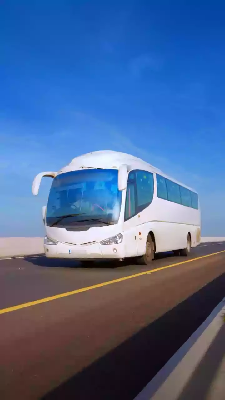 Rajasthan Tragedy: 4 Killed, 28 Injured After Sleeper Bus Collides With Truck On Jaipur-Bikaner Highway; Video Surfaces