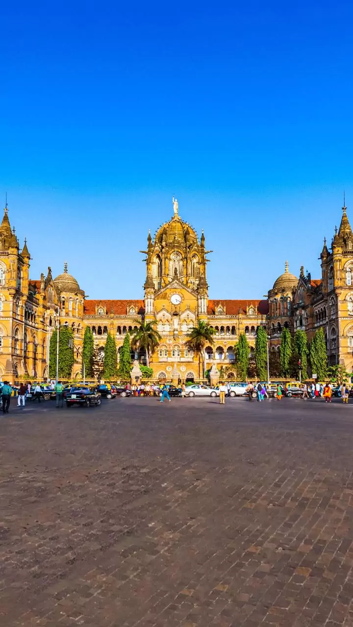 Mumbai: 8-foot-long python rescued from Bandra