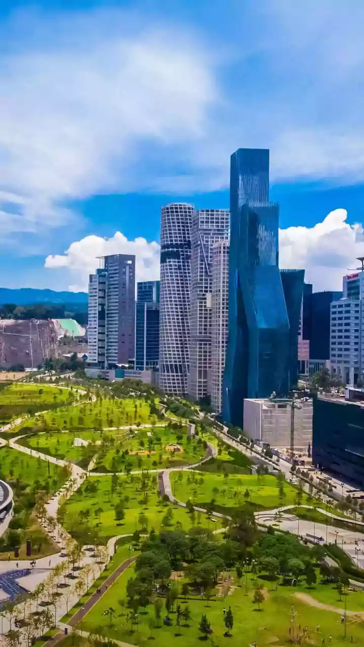 Urban Nature Management Is Becoming a Data-and-Care Partnership