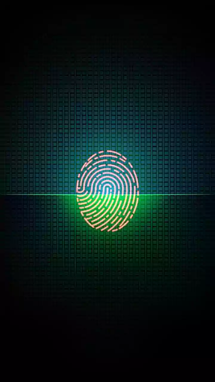 Securing Your Online Experience: How Websites Verify Your Identity