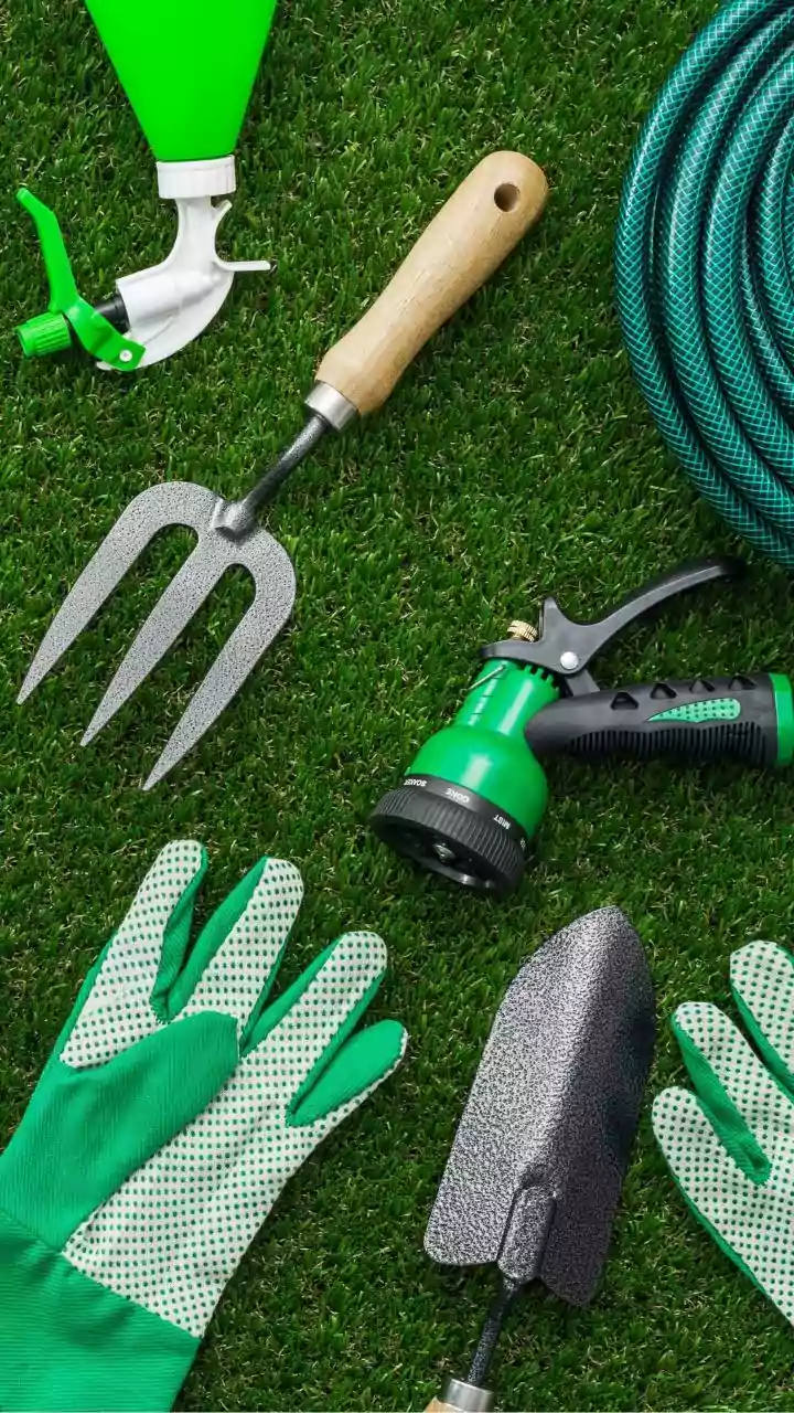 Beyond Beauty: Unlocking Garden Gear's Longevity with a Surprisingly Simple Sealant