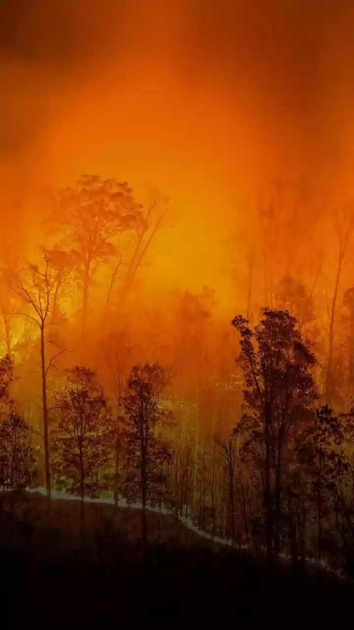 Smoke In Paradise: Kasauli Forest Fire Impacts Hill Tourism; What Travellers Should Keep In Mind
